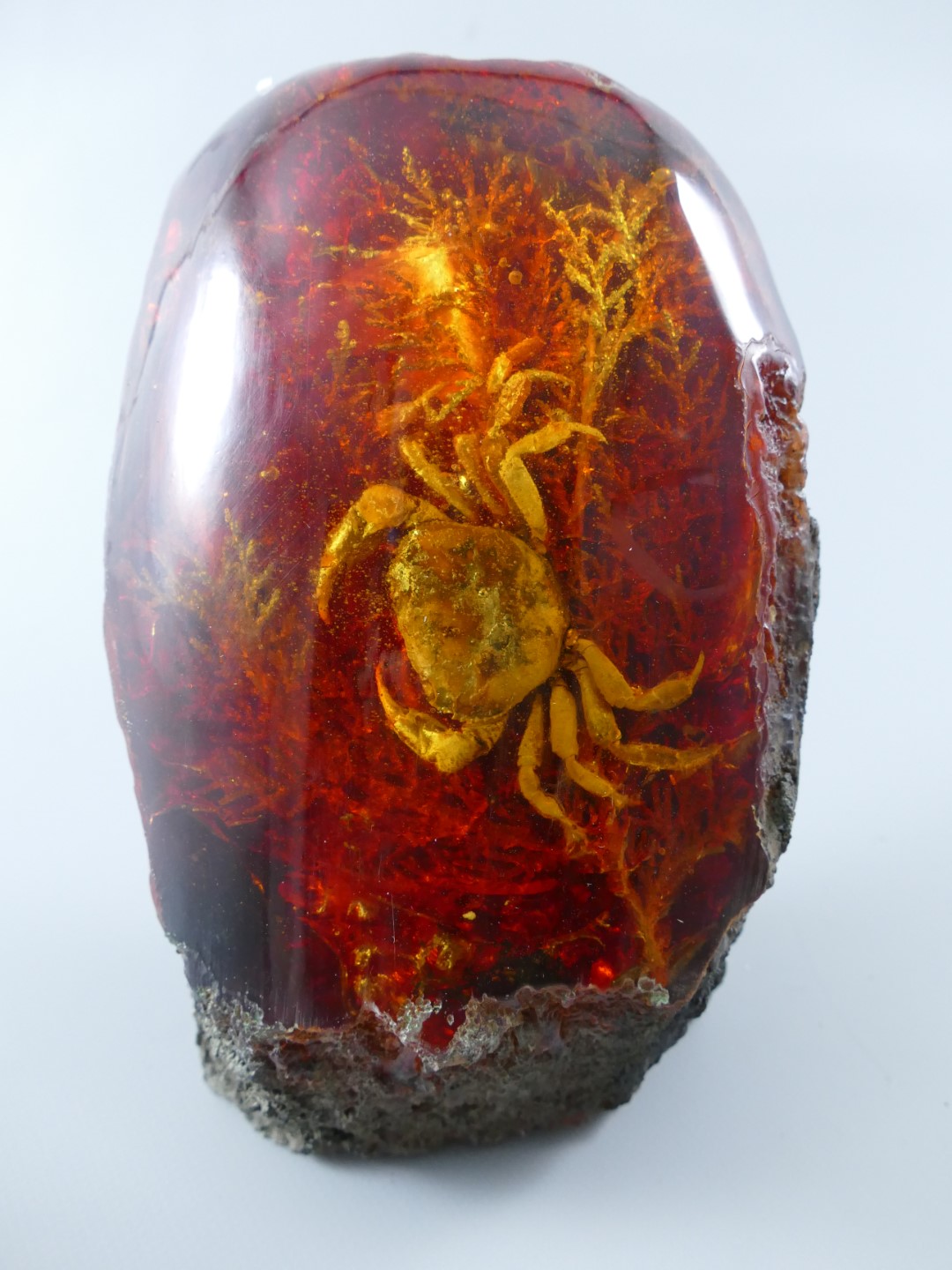 Objekt DEKO(Krabbe) Polystein farbe H.20x14cm