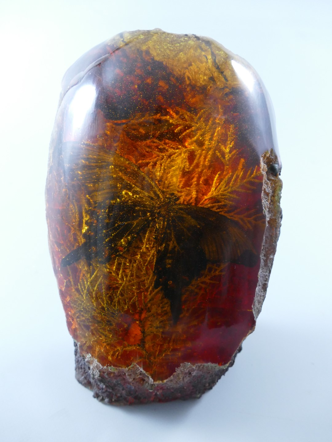 DEKO Objekt(Schmetterling) Polyst. farbe H.20cm